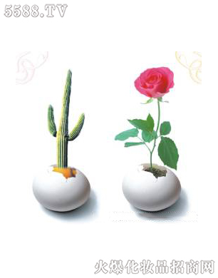 �Ϻ���������Ƽ����޹�˾����ǻ�ޏ�(f��)3��ɆT