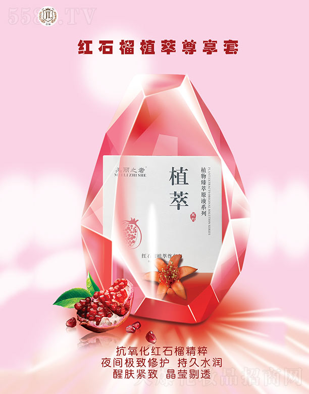 �V�ݼ��|����Ƽ����޹�˾���F����tʯ��ֲ��������