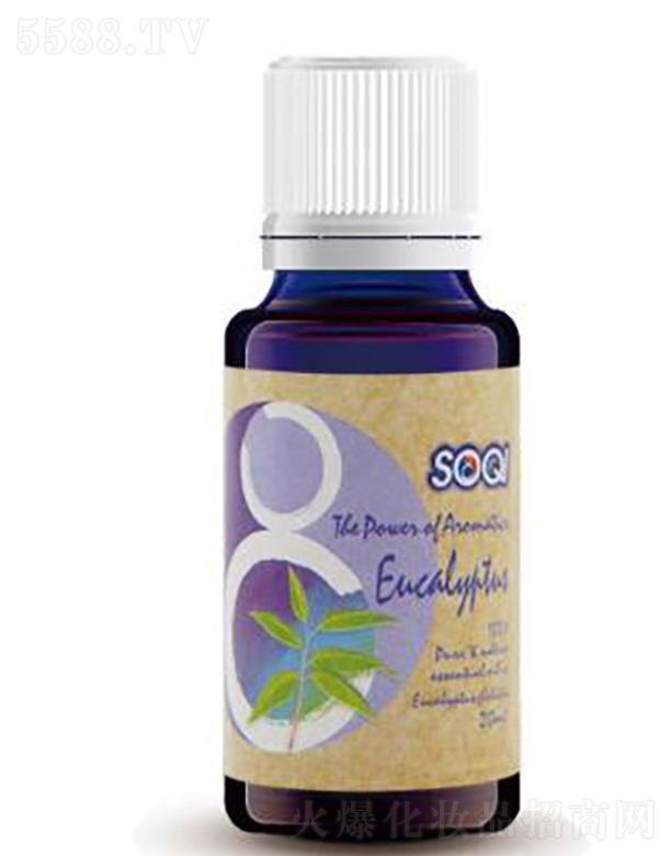 ����������������Ʒ���Q(m��o)���޹�˾��SOQI�η����͡����ȼ�������