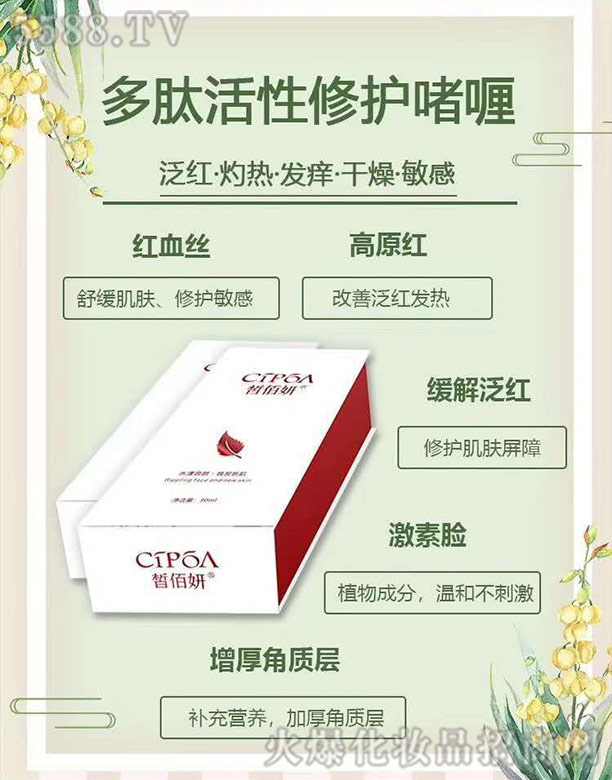 ���������ޏ�(f��)���