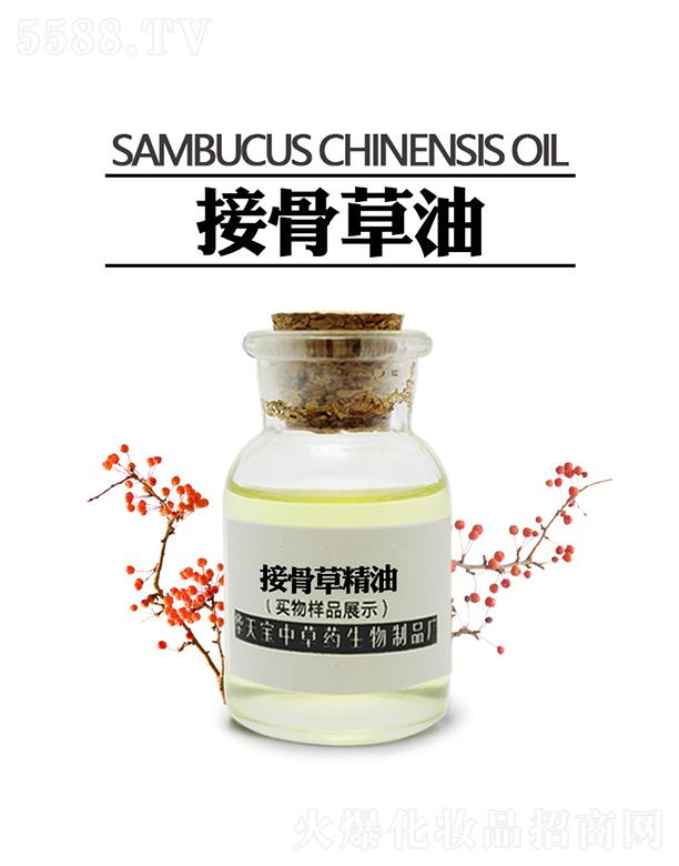 �A�쌚�ӹǲ���