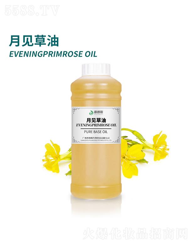 ����˹��Ҋ����