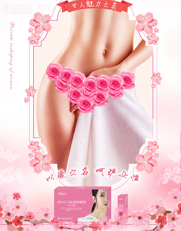 ��ޱ�WBEHS-D˽�ܷ����ͣ��D��������z��