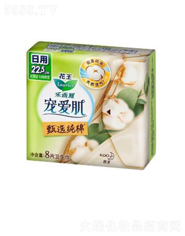 �����Ō��ۼ����x���޽z����22.5cm��8p��ס������ܛ