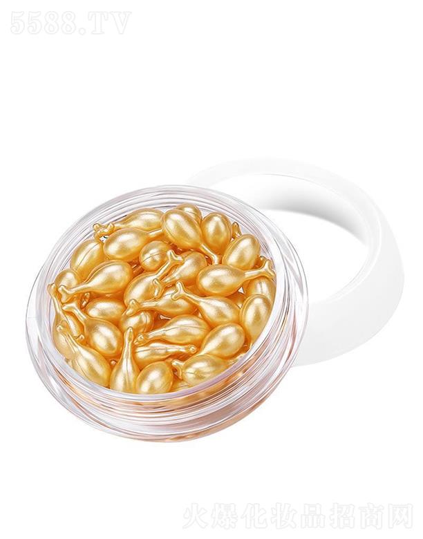 �V�����m(x��)�t(y��)ˎ   ��������֥�ܸ���ϩ̥�P�ؾ��A   �������y����