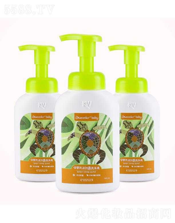 �{(l��n)ɼĸ����ĭ�־�ϴ��Һ 300mL