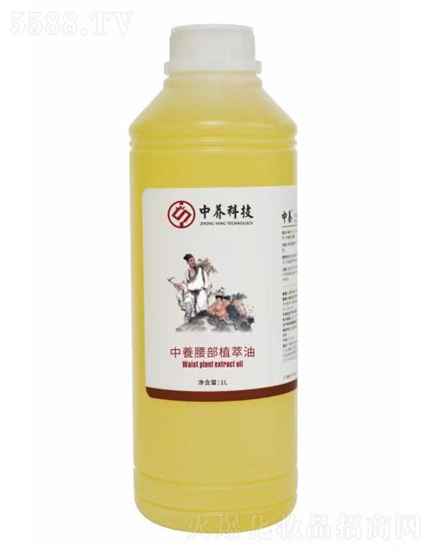 ���B(y��ng)����ֲ���� 1L