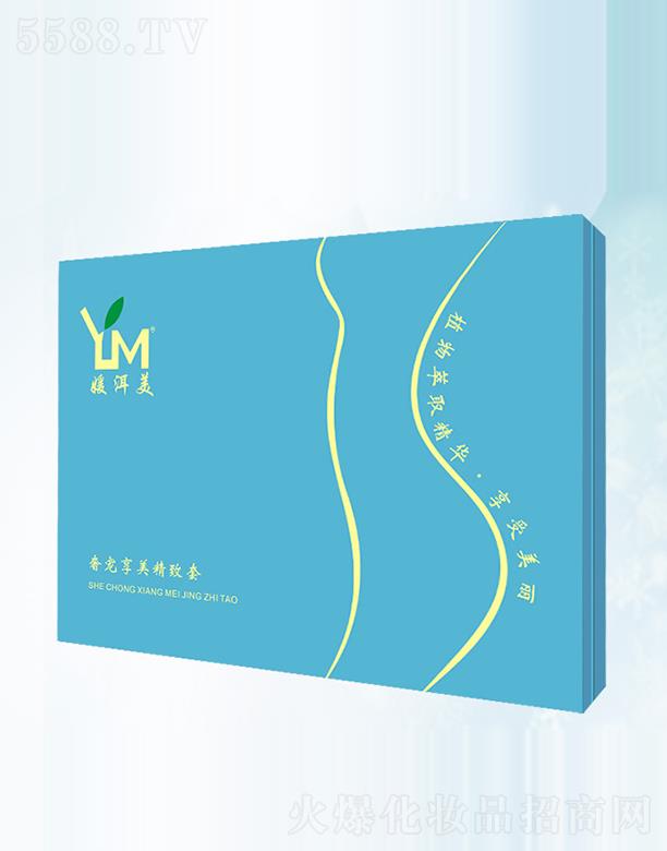 �¶����݌�����������