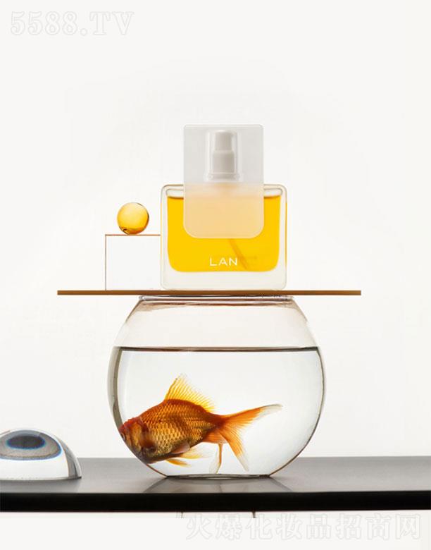 �����m��   �m�P�ˬ���������   �����B(y��ng)�w   ����