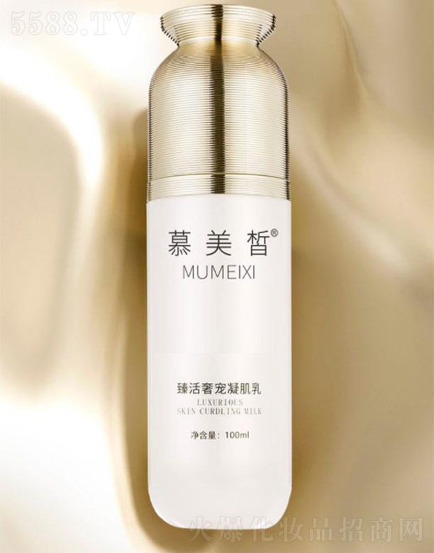 Ľ�������݌�������