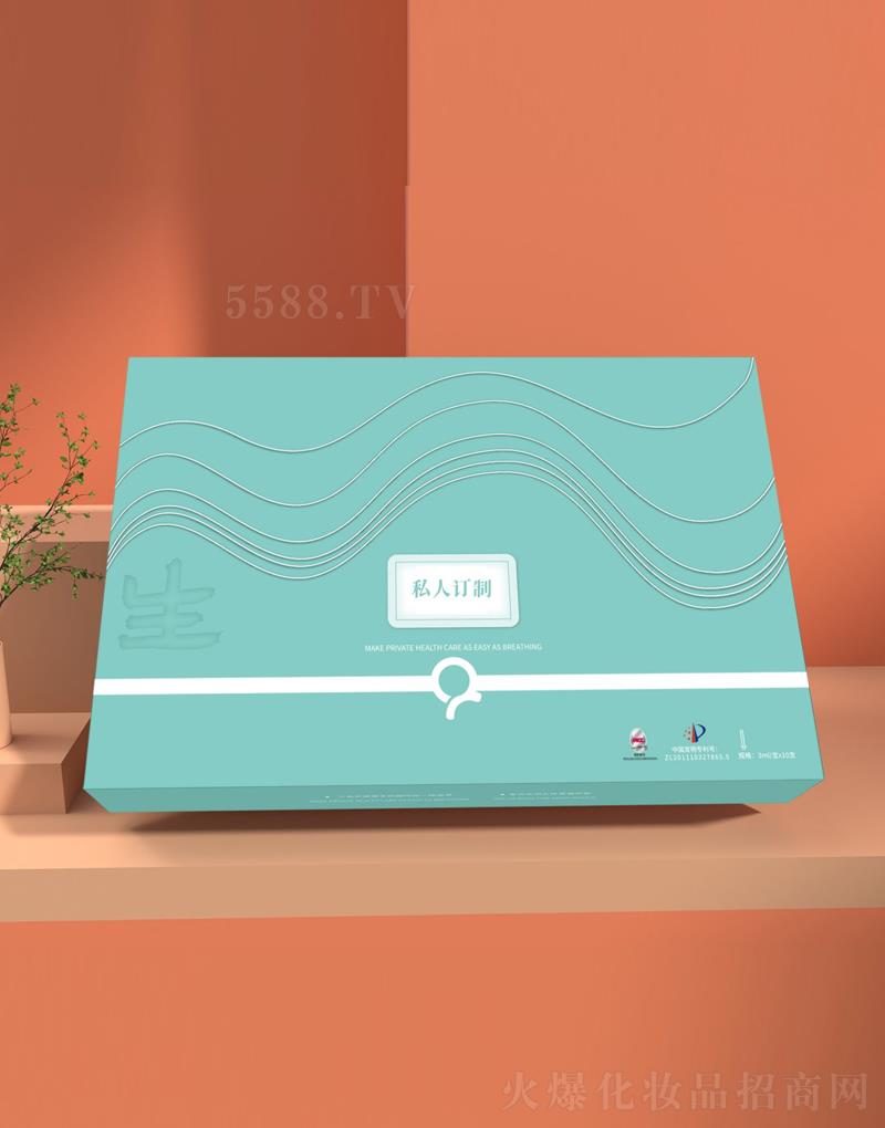 �����������ޏ�(f��)���b