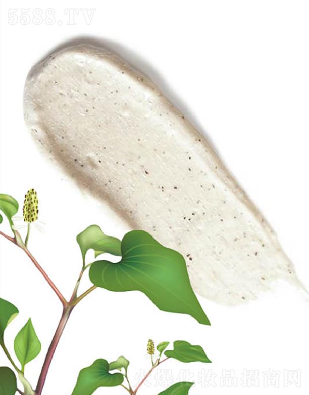 ANCORS�~(y��)�Ȳ�ë����ӝ�����