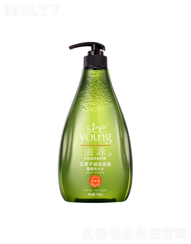 ��Դ�o���ӝ�������ܰ��ϴ�^ˮ750mL