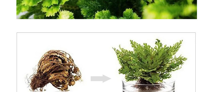 �����᝙(r��n)�ϴ����