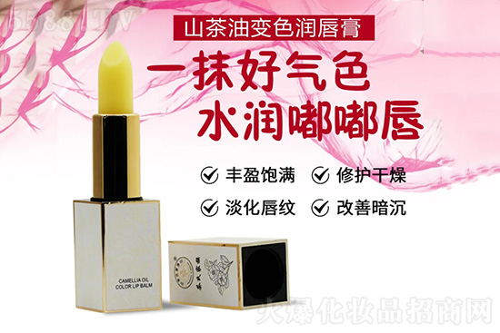 ɽ����׃ɫ������