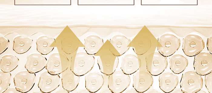 ؐ��ޱԊ�������R���aˮ�ޏ�(f��)���A