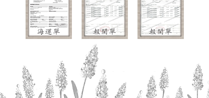 �W�����������o