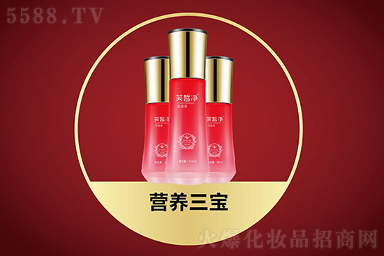 ܽ���I(y��ng)�B(y��ng)����