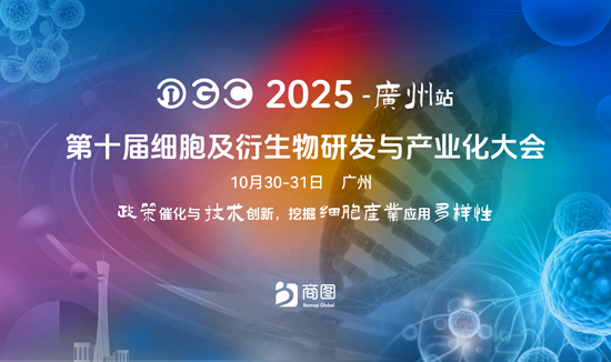 大會(huì) 大會(huì)