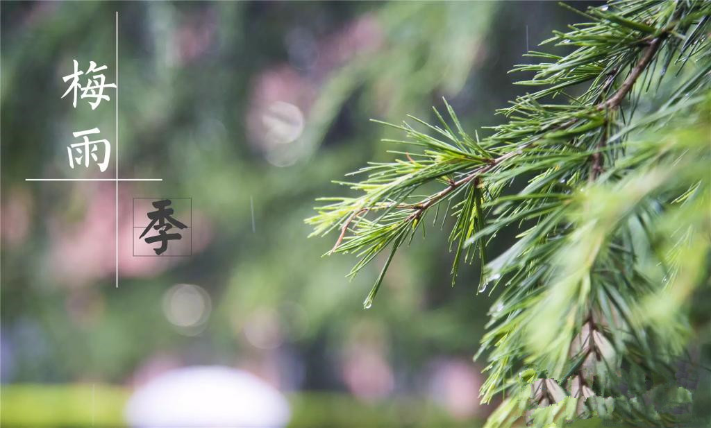 雨季到來，涂料施工需注意哪些問題